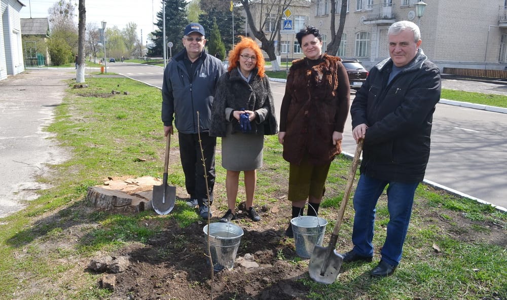 В «чистий четвер» в Переяславі-Хмельницькому очільники міста висадили липову алею