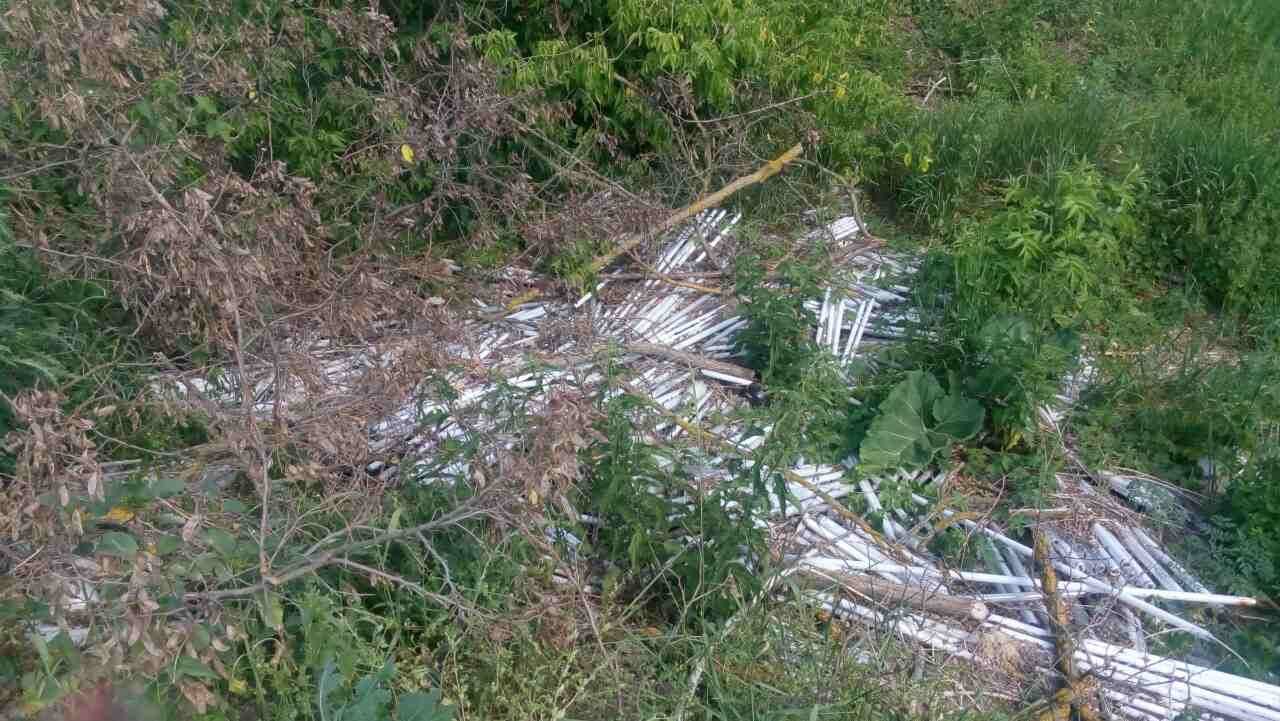 Близько трьох тисяч ртутьвмісних ламп виявили на Київщині