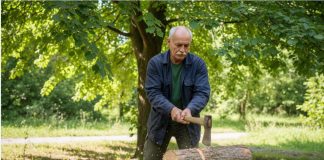 Що робити поліції? Інструкція як зупинити незаконну вирубку дерев у місті та селі!